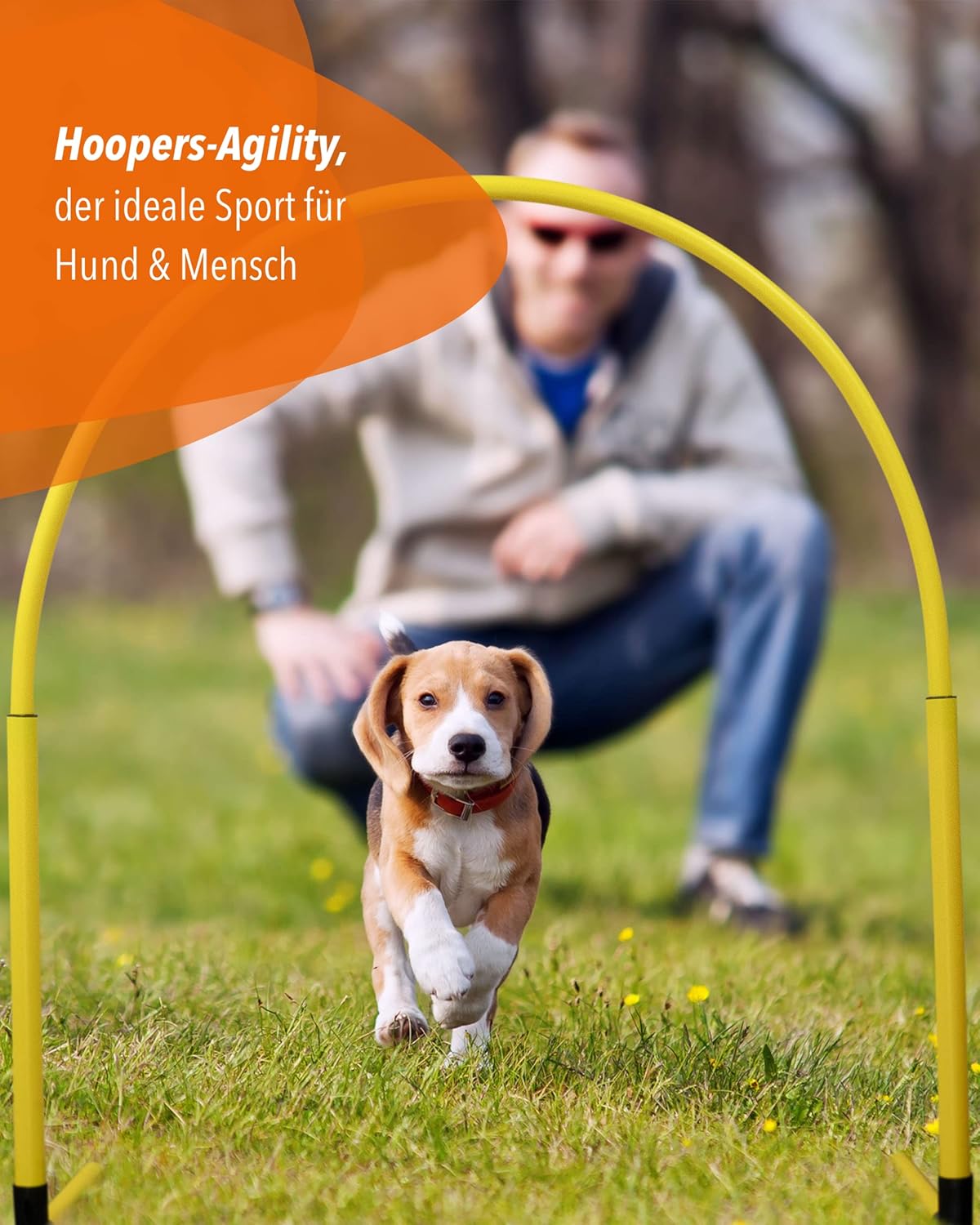 Hoopers-Agility Trainingsbogen für Hunde, Blau/Blau