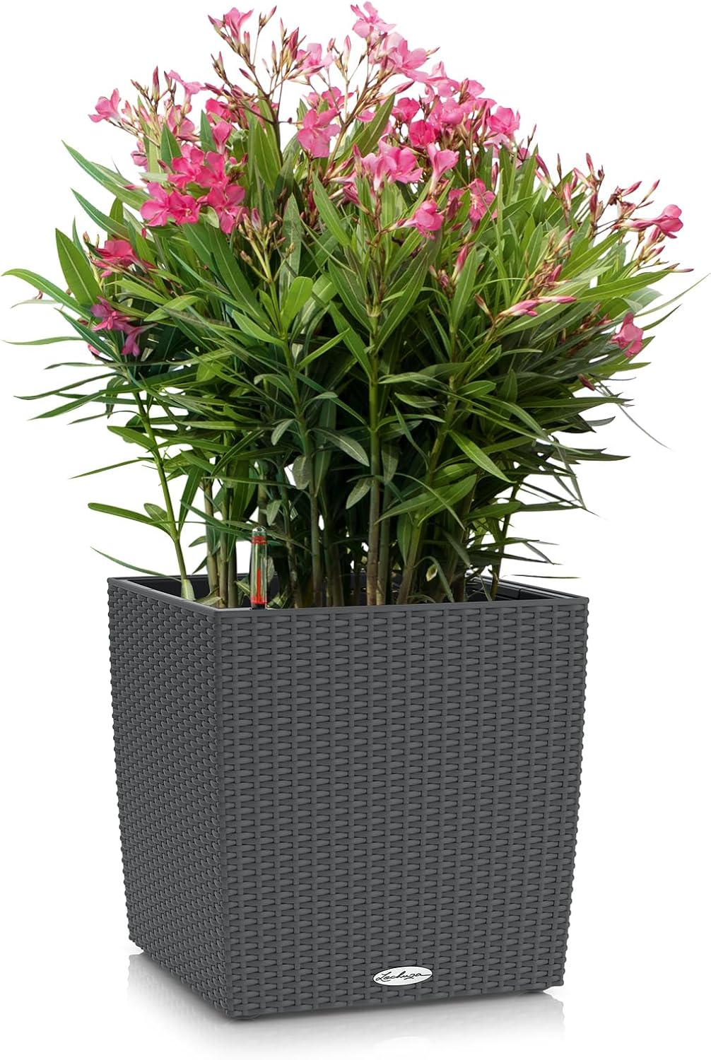 Cube Cottage Pflanzgefäss, Pflanzgefäss mit Erd-Bewässerungs-System 39 x 39 x 40 cm Granit