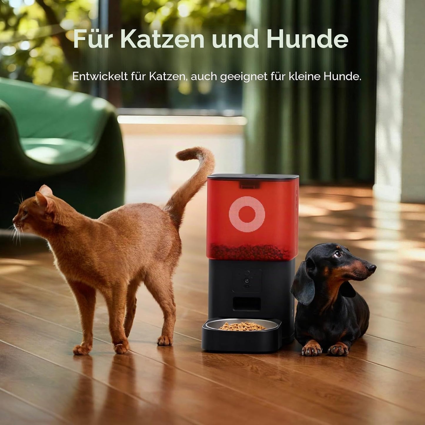 Futterautomat mit Kamera & App-Steuerung, Schwarz & Rot