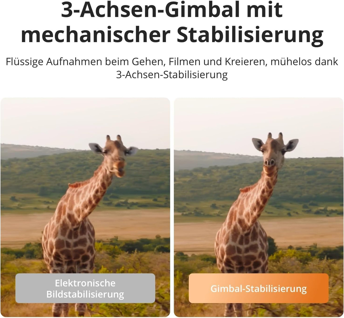 Osmo Pocket 4 Standard Combo, Mehrere Zubehörteile Bundle