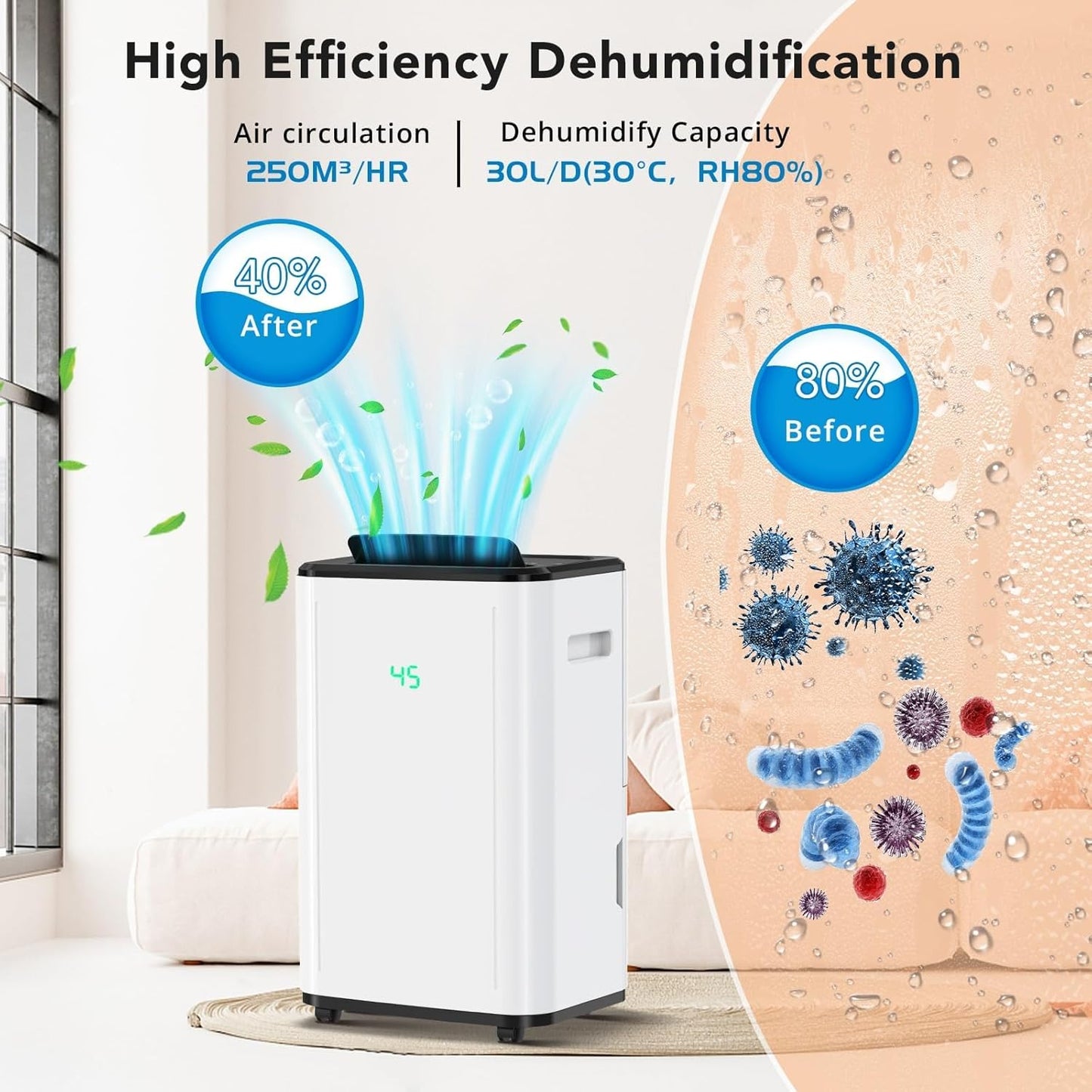 Elektrischer Luftentfeuchter, 30L/Day