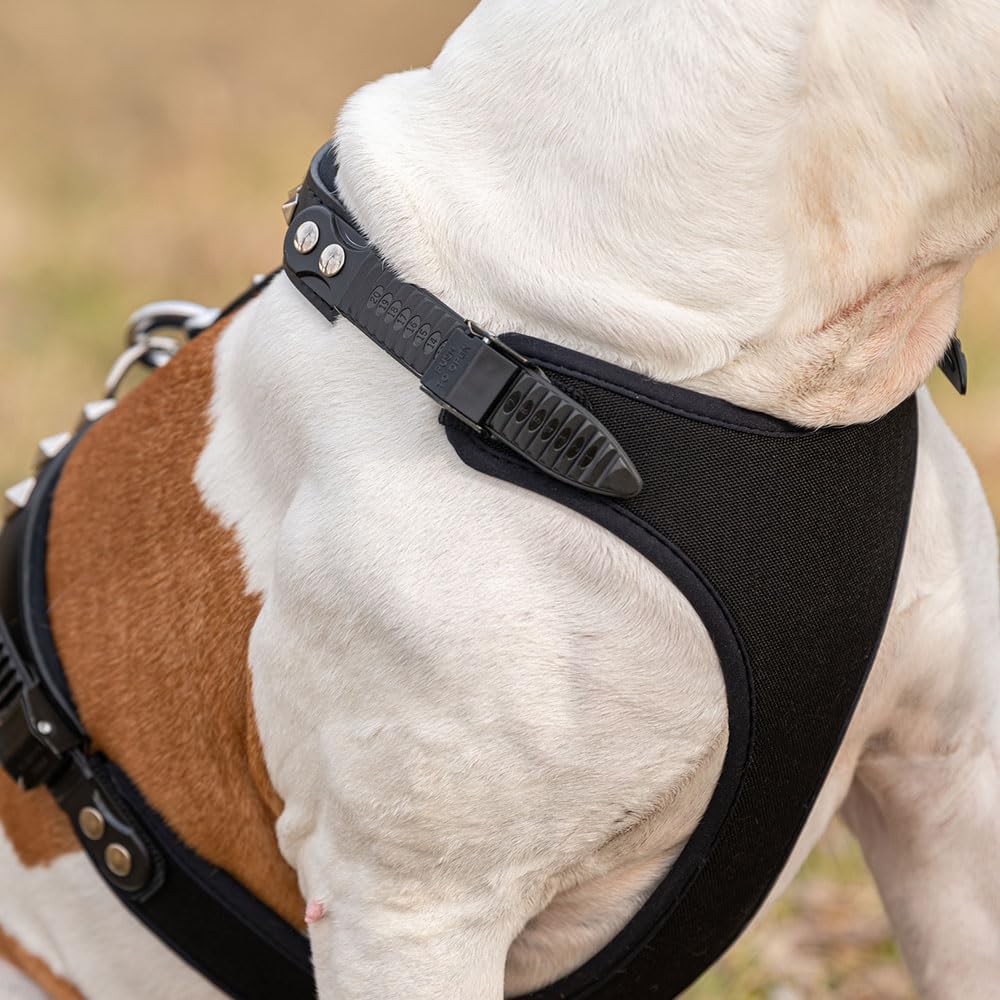 Hundegeschirr Giotto Luxor, schwarz L/XL