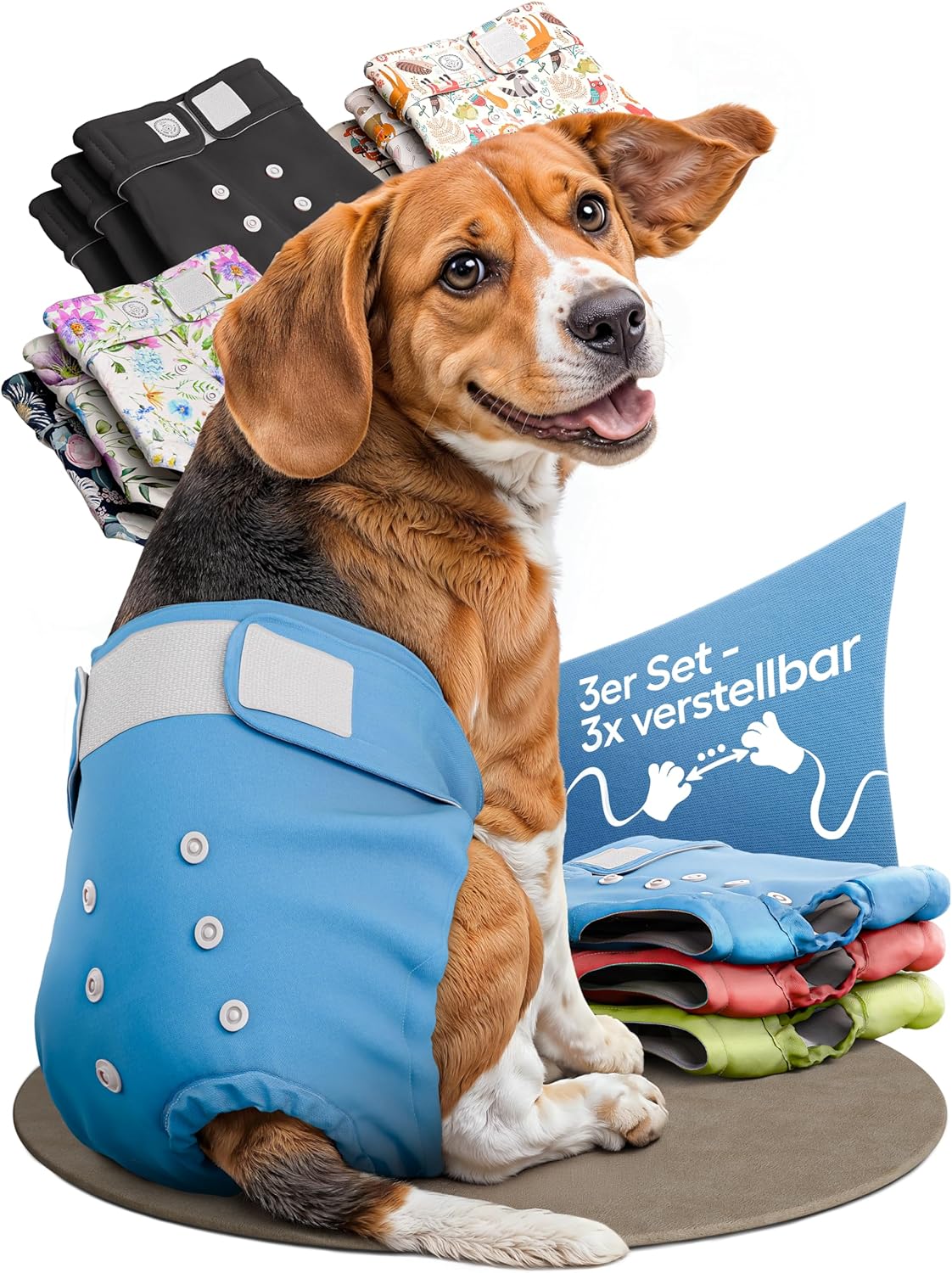 Hundewindeln für Hündinnen, Rot | Blau | Grün S (29 - 40cm)