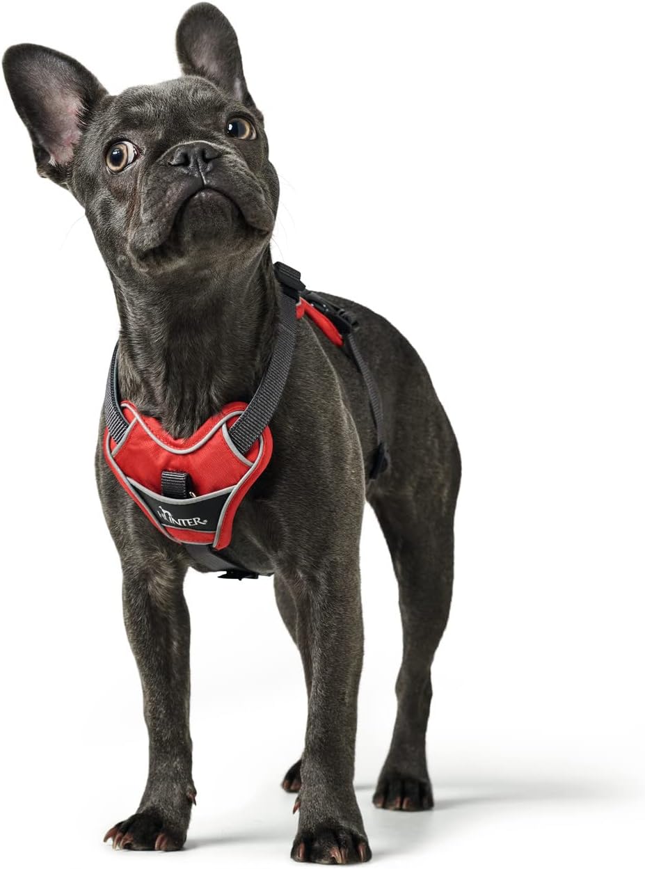 Hundegeschirr Divo, 34 - 47 cm rot/grau