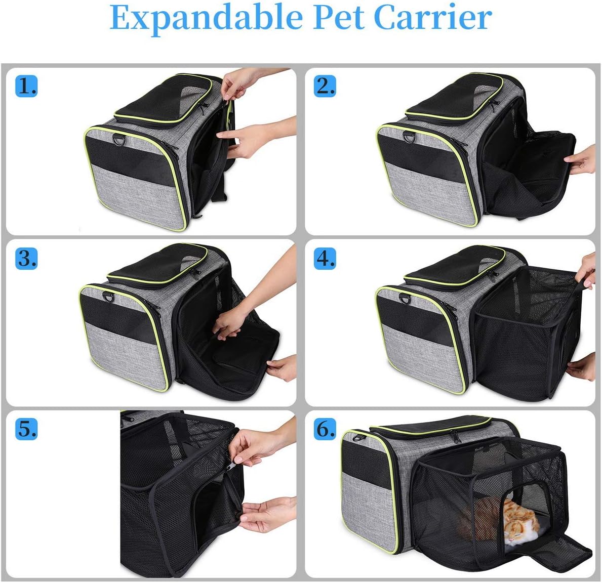 Transportbox
