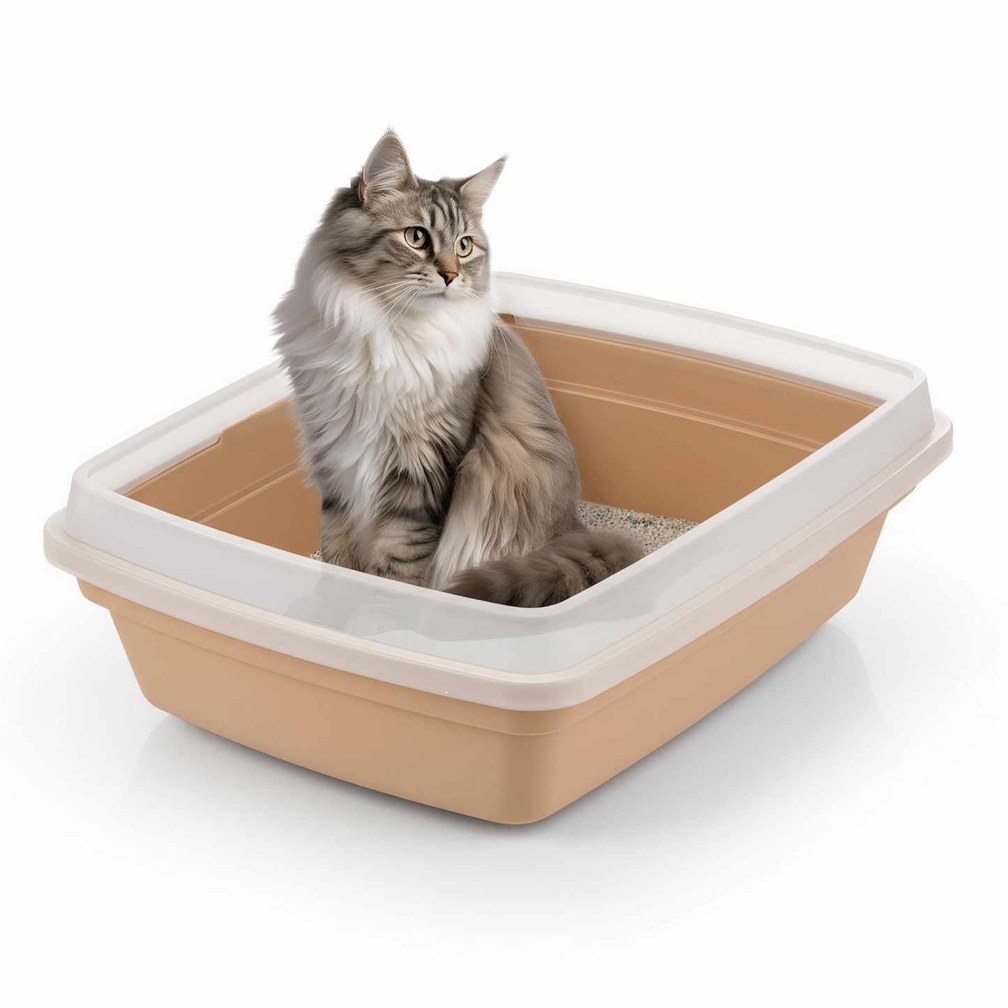 Katzentoilette CLH-12S, Beige Small - Single - Low Wall