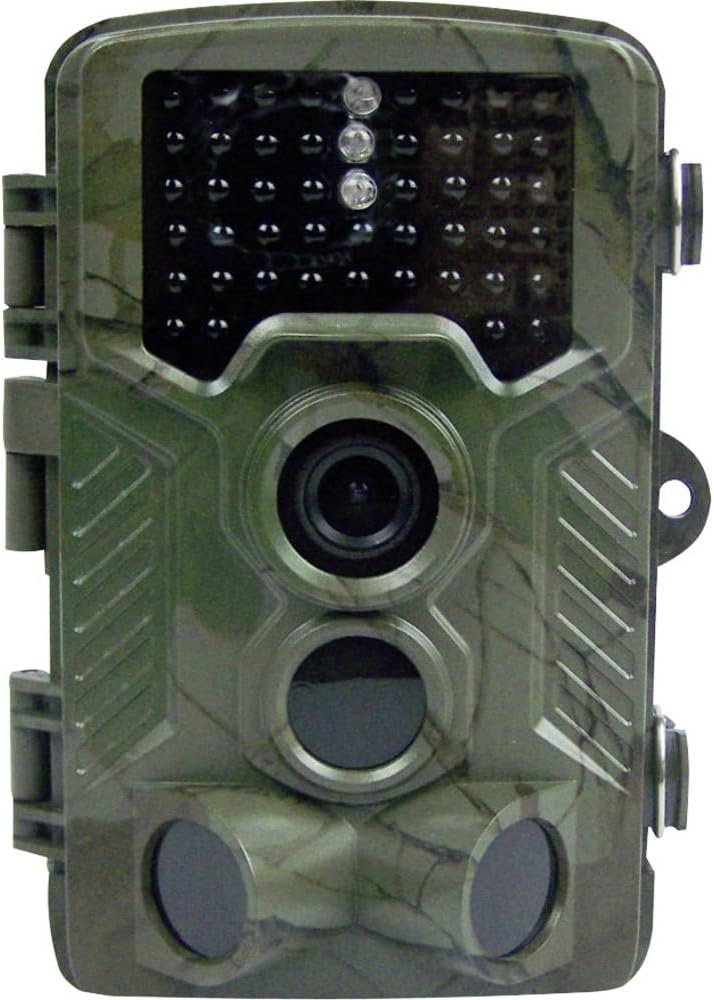 31646