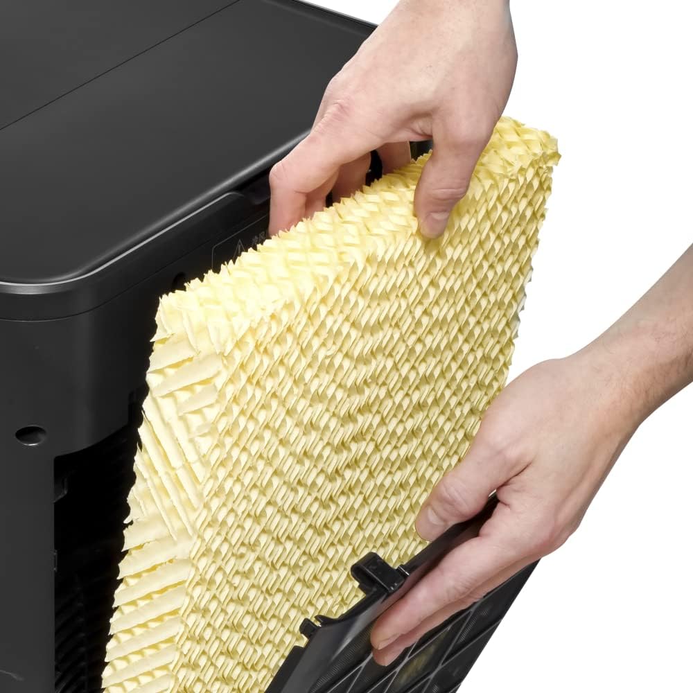 4-in-1 mobiler Luftkühler PAE 80 mit Timer & Nachtmodus, 60 l Schwarz