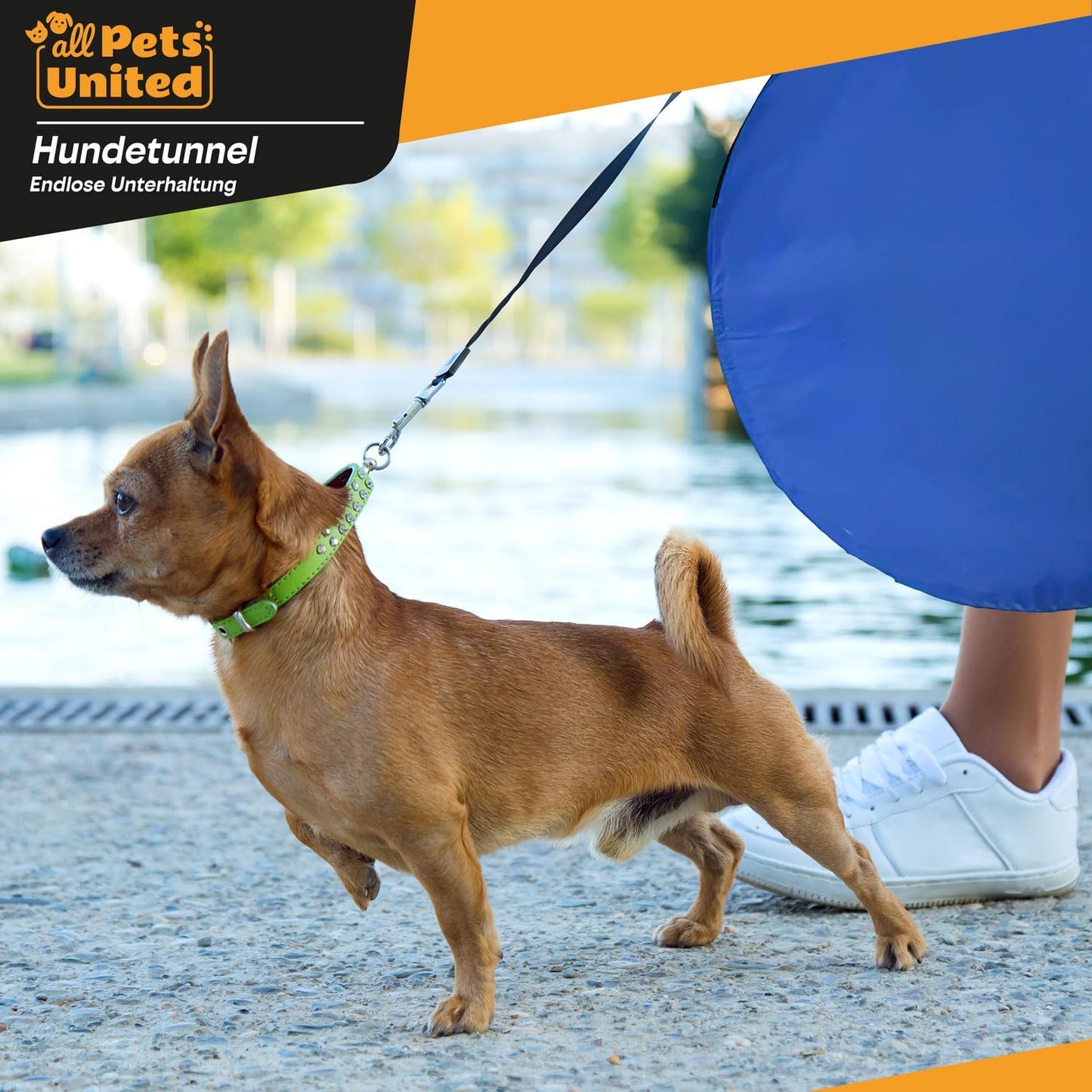 Agility-Hundetunnel mit Transporttasche, 500 cm - Tunnel