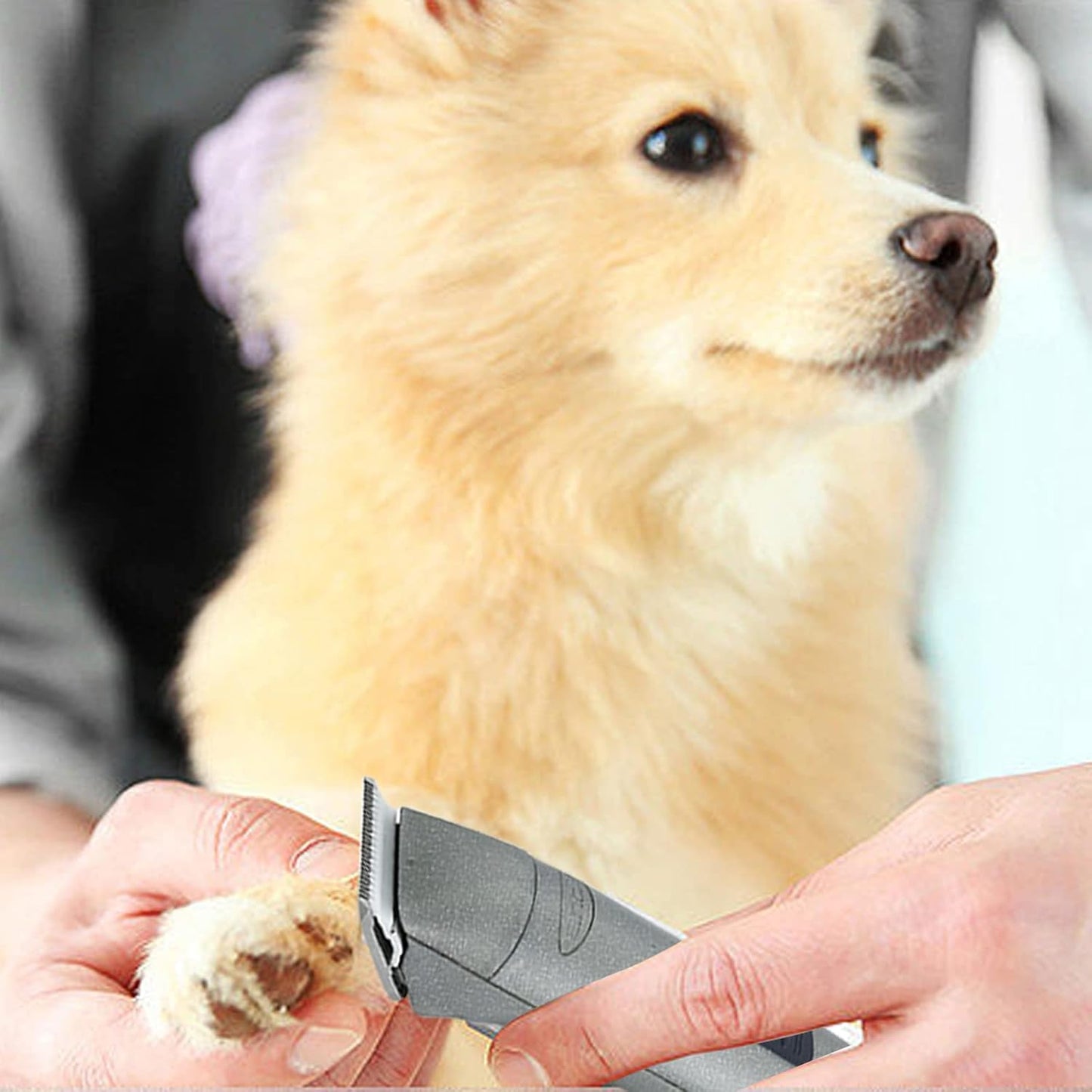 5FC Scherkopf für Andis/Oster A5/Wahl KM Hundeschermaschinen, 5fc 6.3mm