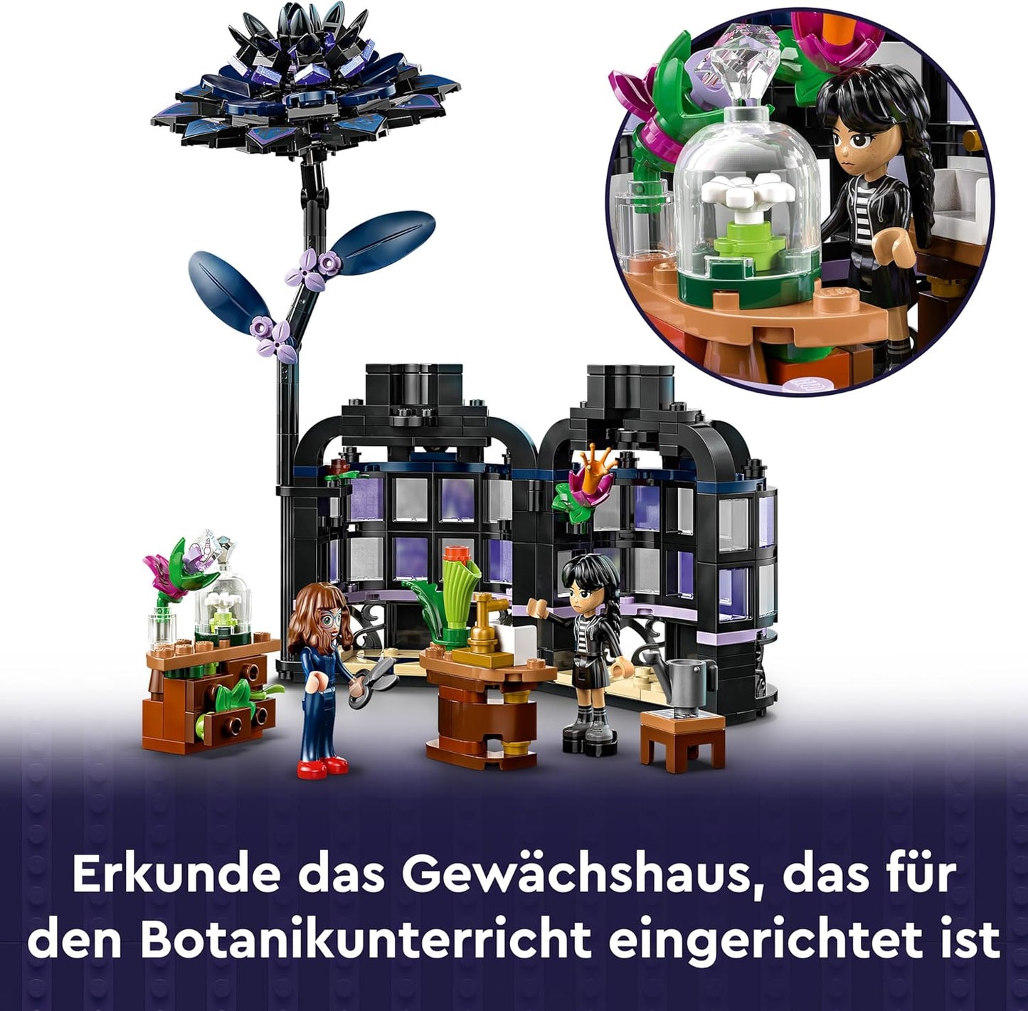 Schwarze Dahlie