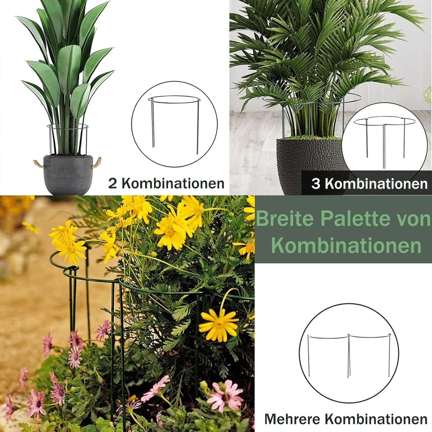 Pflanzenstützen-Set, 45*25cm(10pcs)