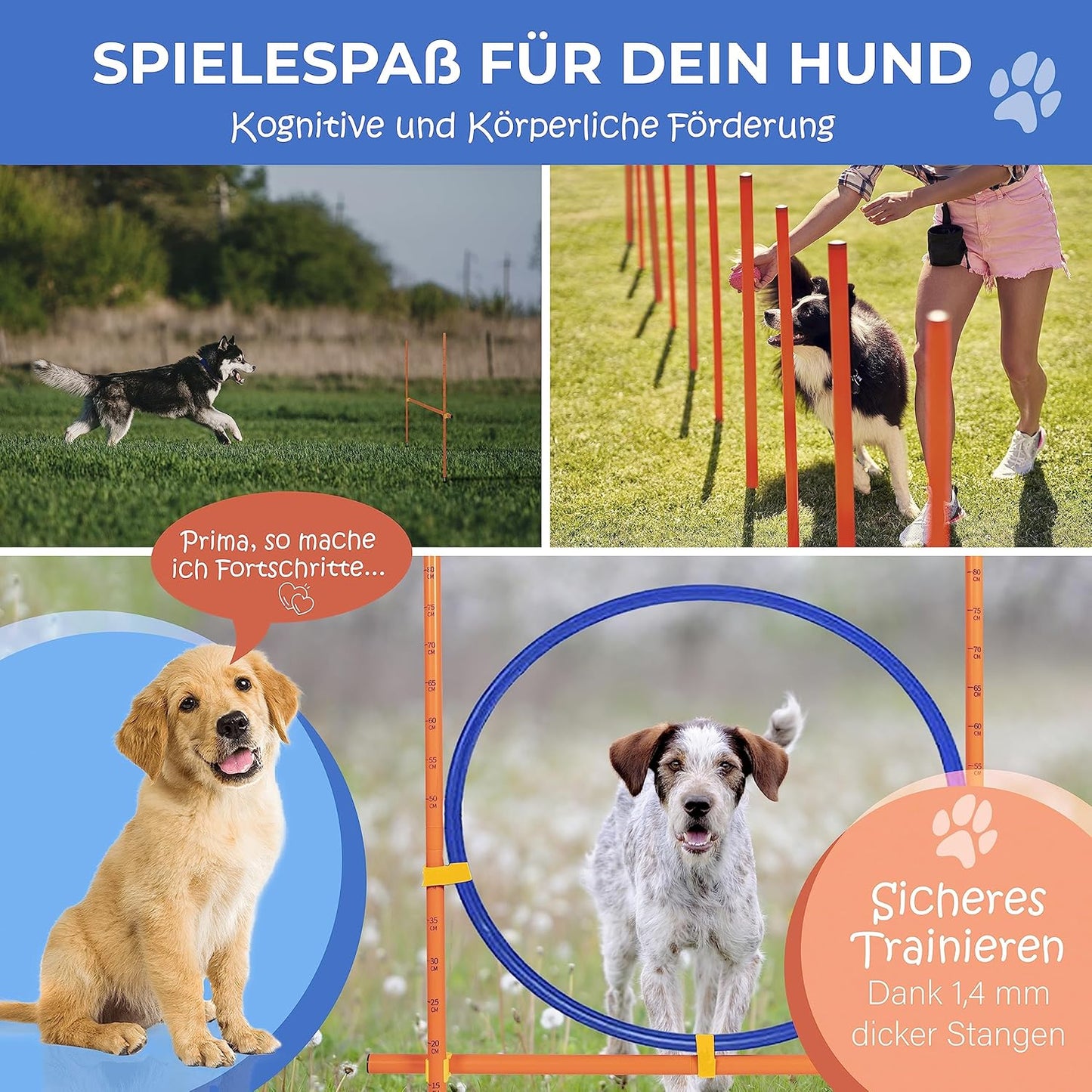 Agility-Set für Hunde, M-Set: Slalom, 1x Hürde, 1x Ring, 1x Tunnel