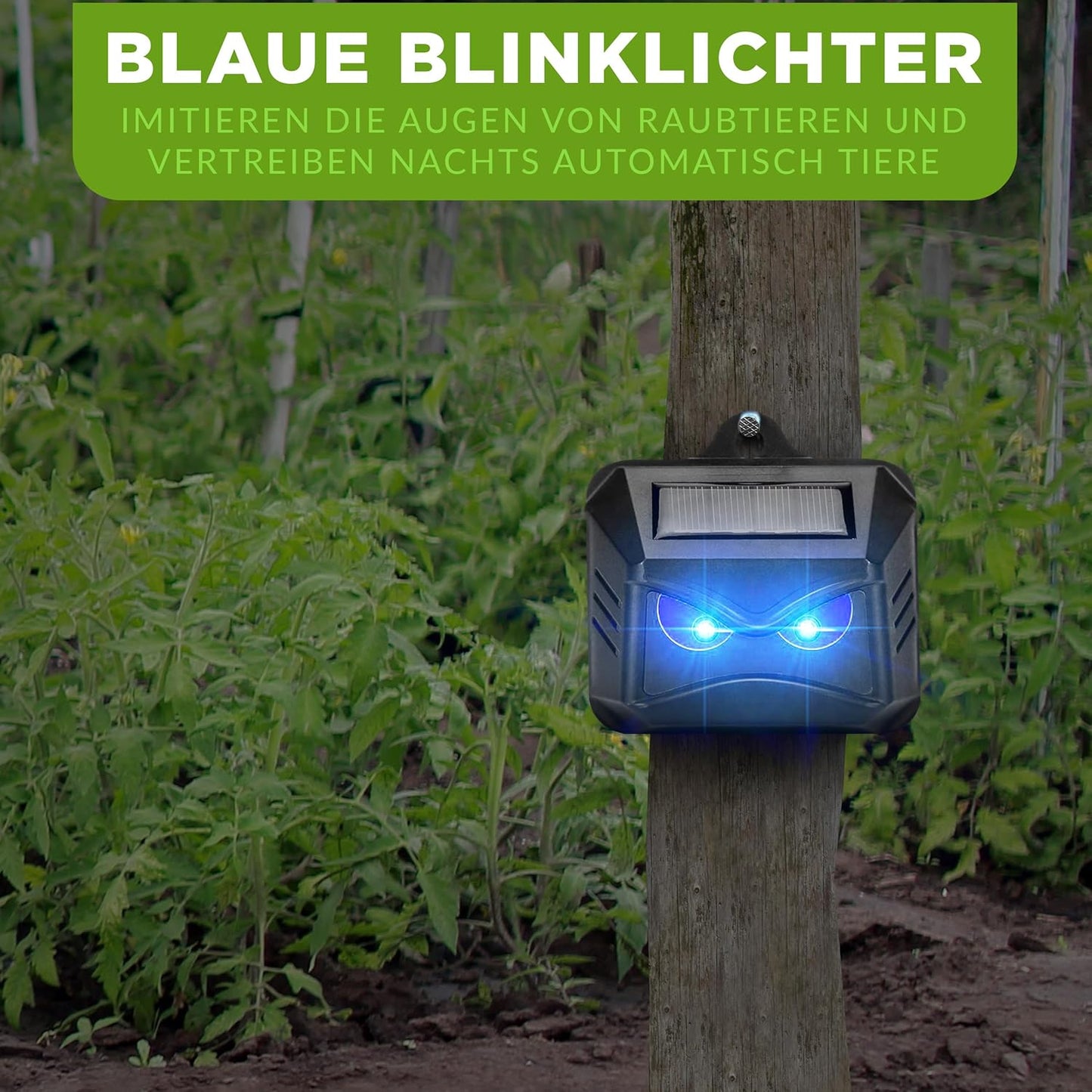 Tiervertreiber mit Blaulicht, 4