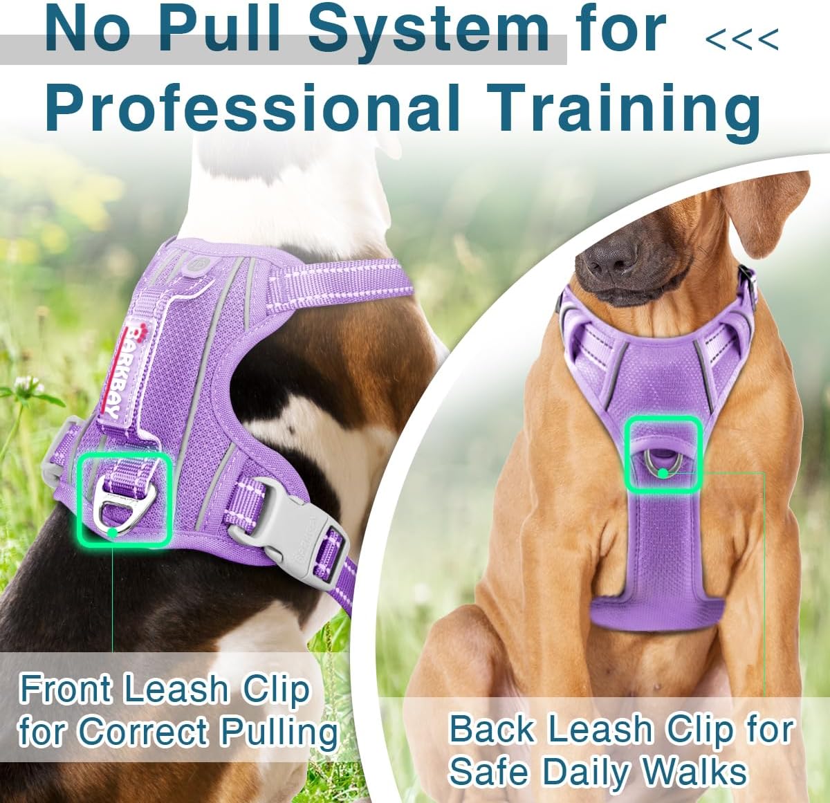 Reflektierendes Hundegeschirr mit ID-Tag Tasche, Medium(Chest:22.5-28") Lila