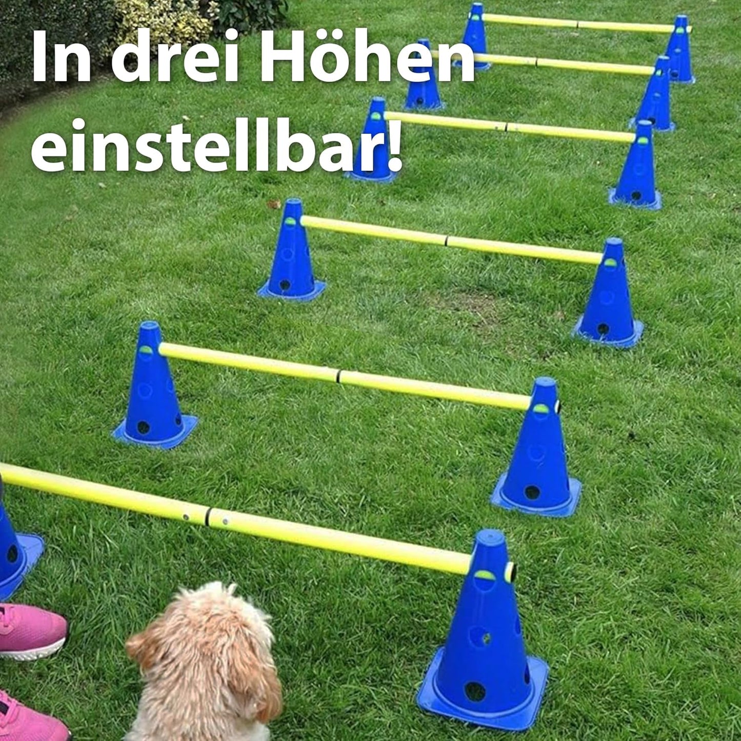 Steckhürdenset, 12 Steckhürden mit 6 Stangen