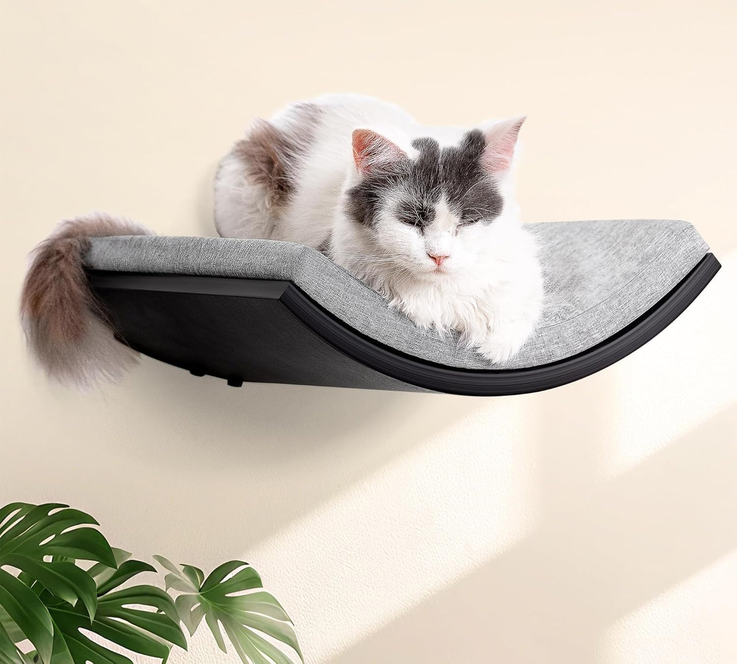 Gebogenes Katzenwandregal mit Kletter- und Schlafplatz, Gray 1PC Katze Wandregal