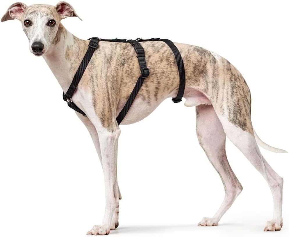 Hundegeschirr 38-52 cm Braun Schwarz XS/S, schwarz Einheitsgrösse