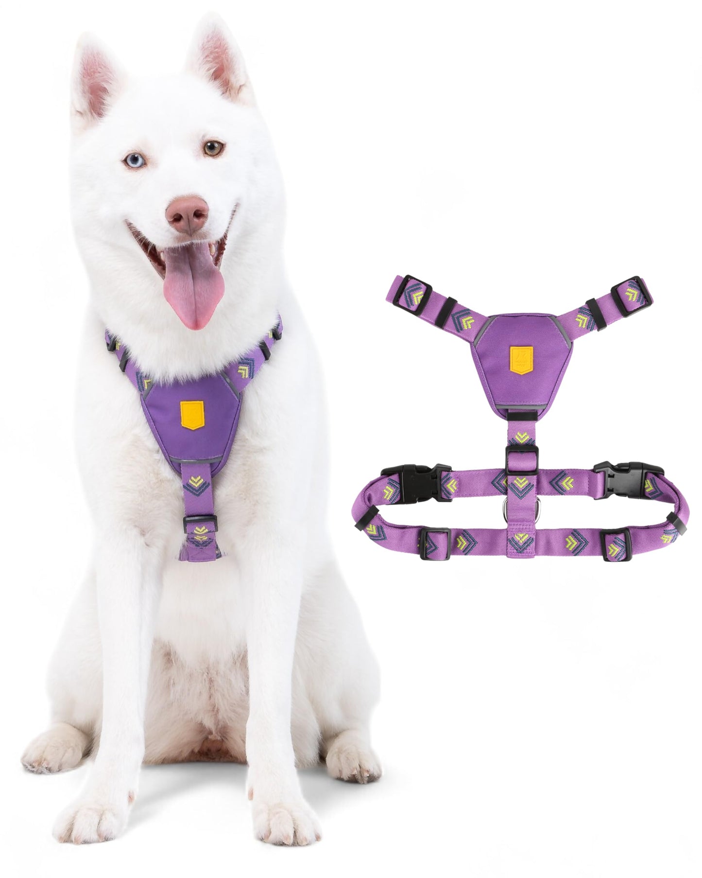 Hundegeschirr mit 5-Punkt-Anpassungssystem, Northern Lights XS
