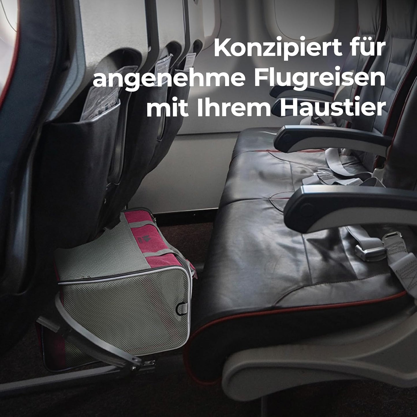 Faltbare Hundetasche, schwarz
