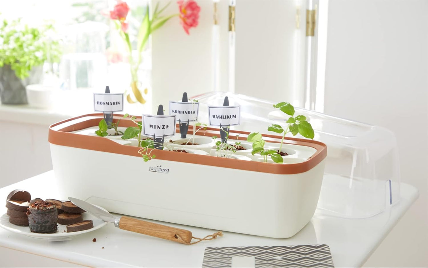 BoQube L Plus Anzuchtset mit Bewässerungssystem, BoQube L Plus — 41×17×23cm Creme / Kupferbraun