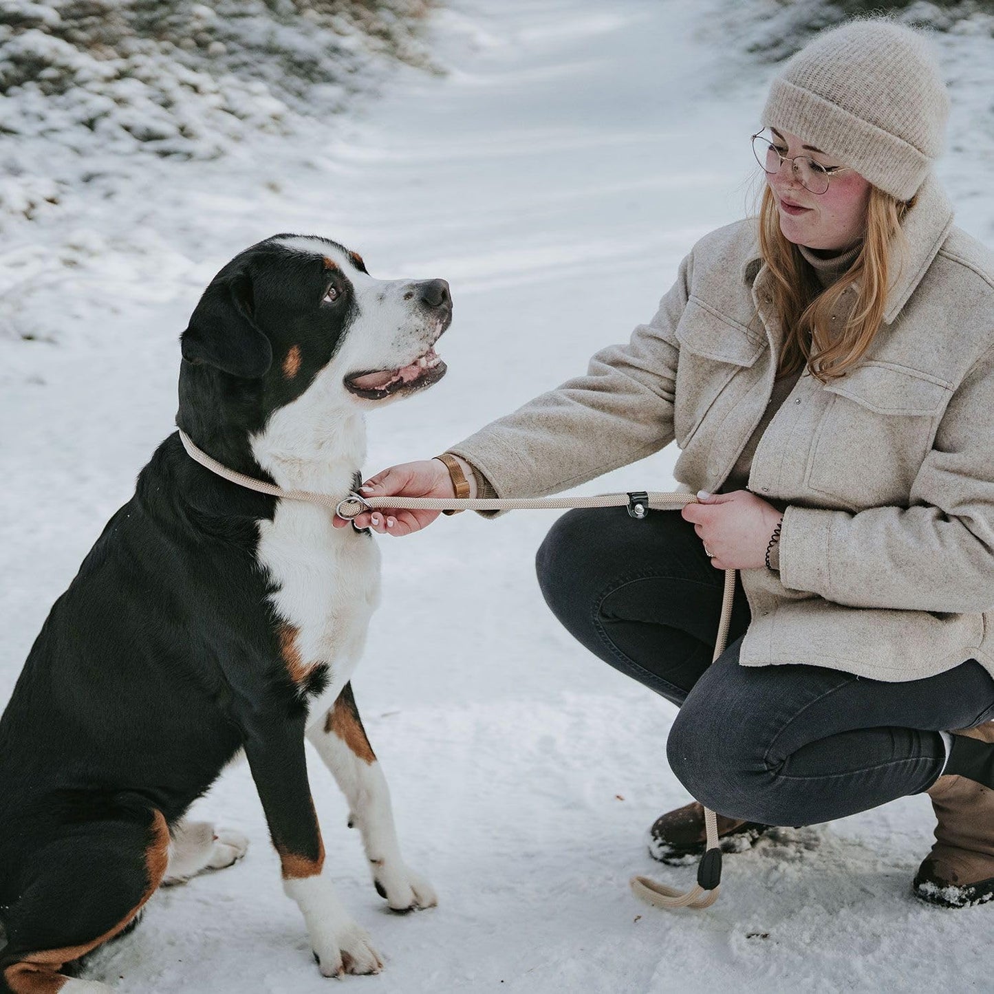 Retriever-Leine Freestyle, beige 8/120