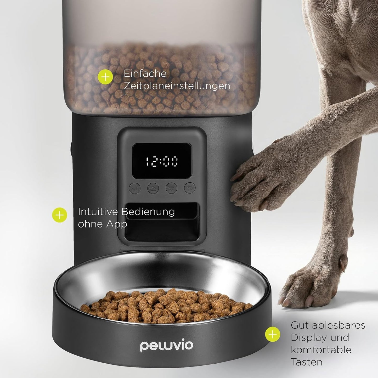 Automatischer Hunde-Futterspender mit Timer