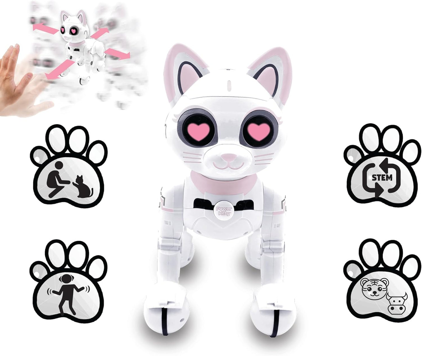 Robotic Kitty, KITTY01