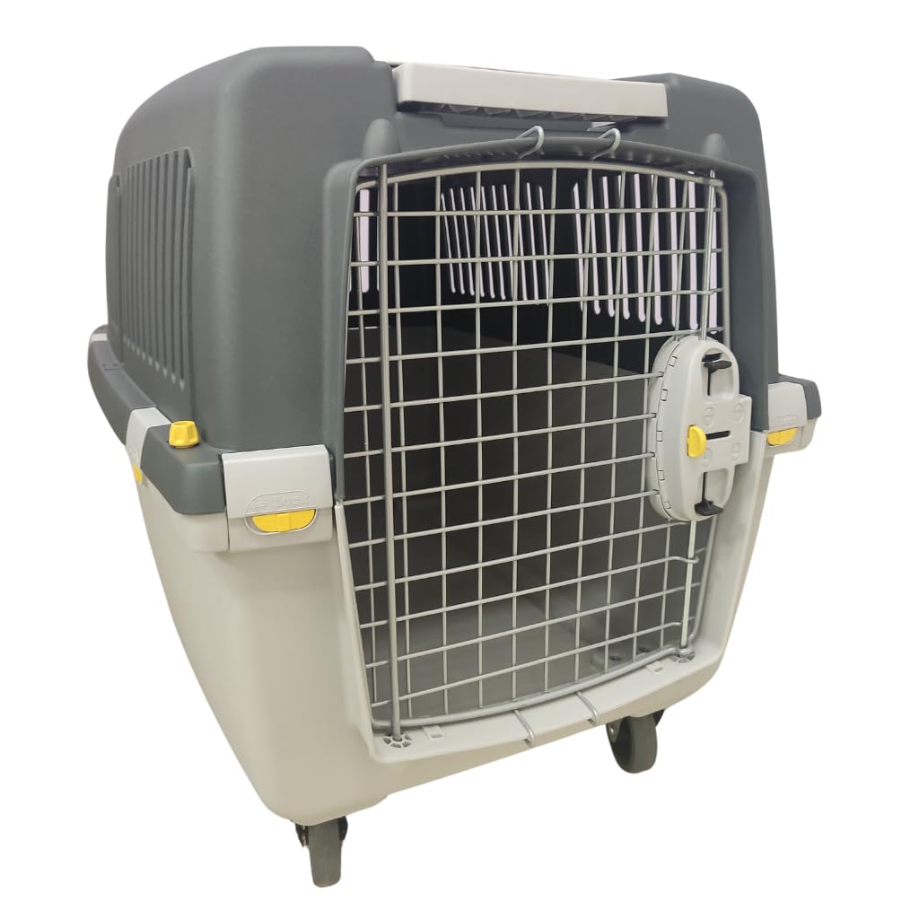 Transportbox Gulliver 4 IATA-konform, L 72 x B 52 x H 51 cm