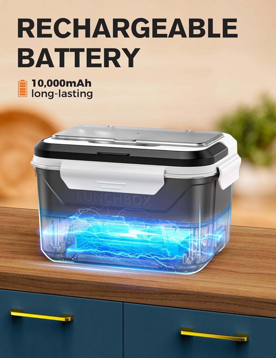 Elektrische Lunchbox mit Aufheizfunktion, Schwarz