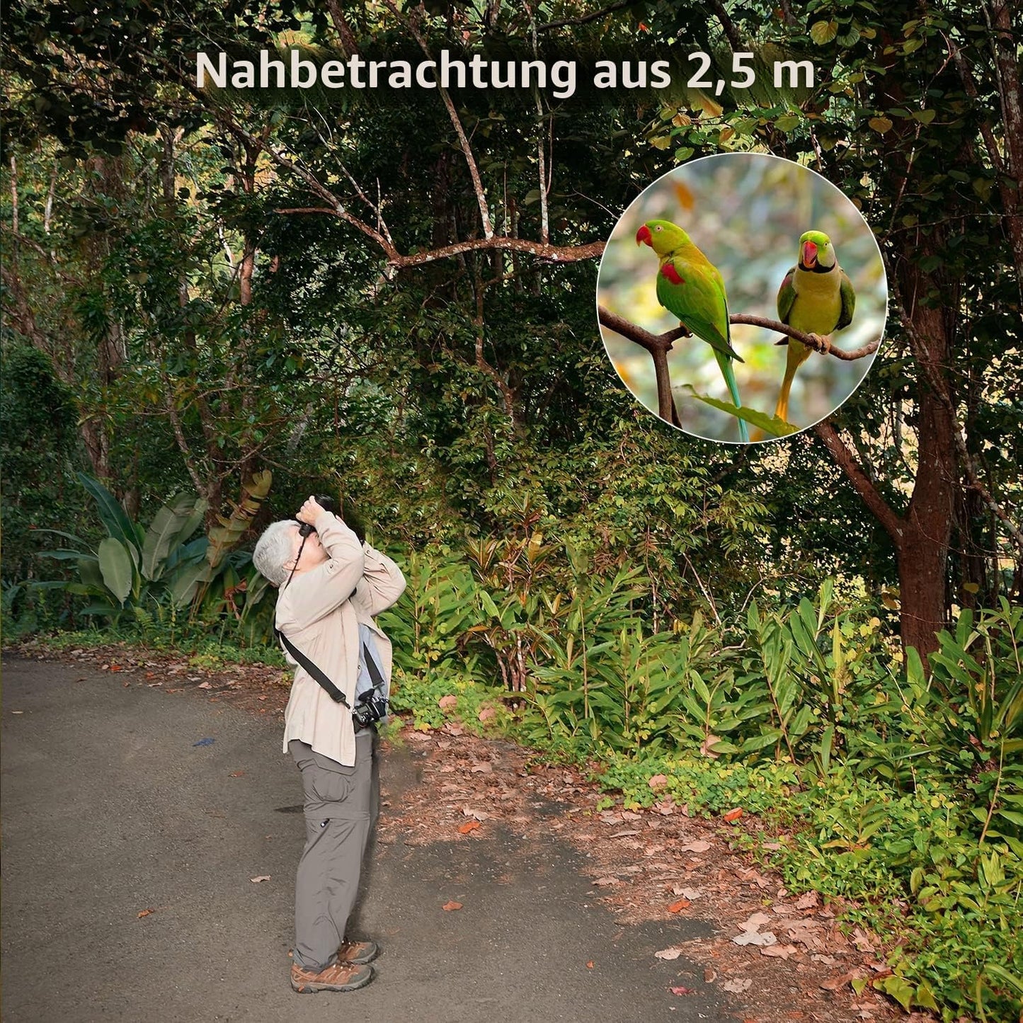 12x50 Kompaktfernglas mit Stativ, Braun
