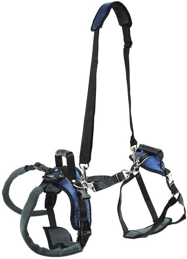 Ganzkörper-Hundegeschirr, Large (Pack of 1)