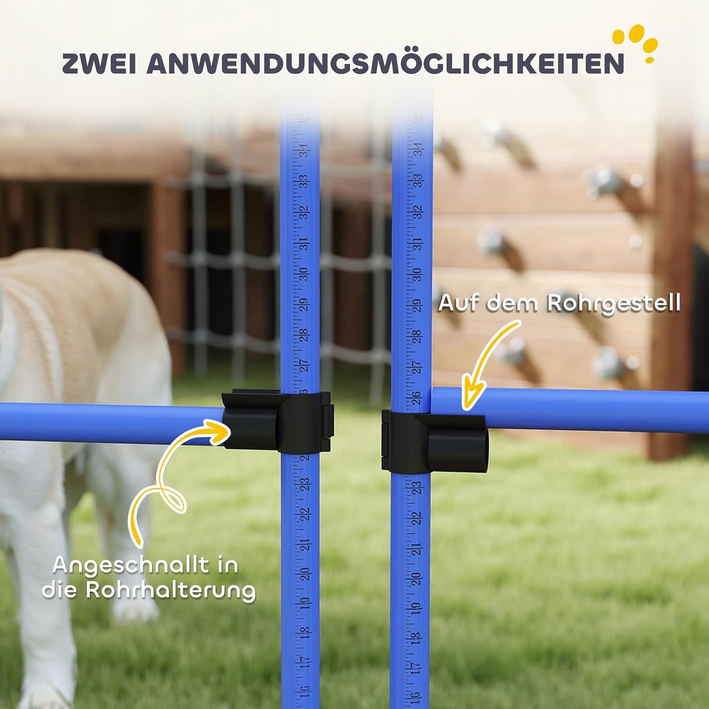 Agility Trainingsset, Blau