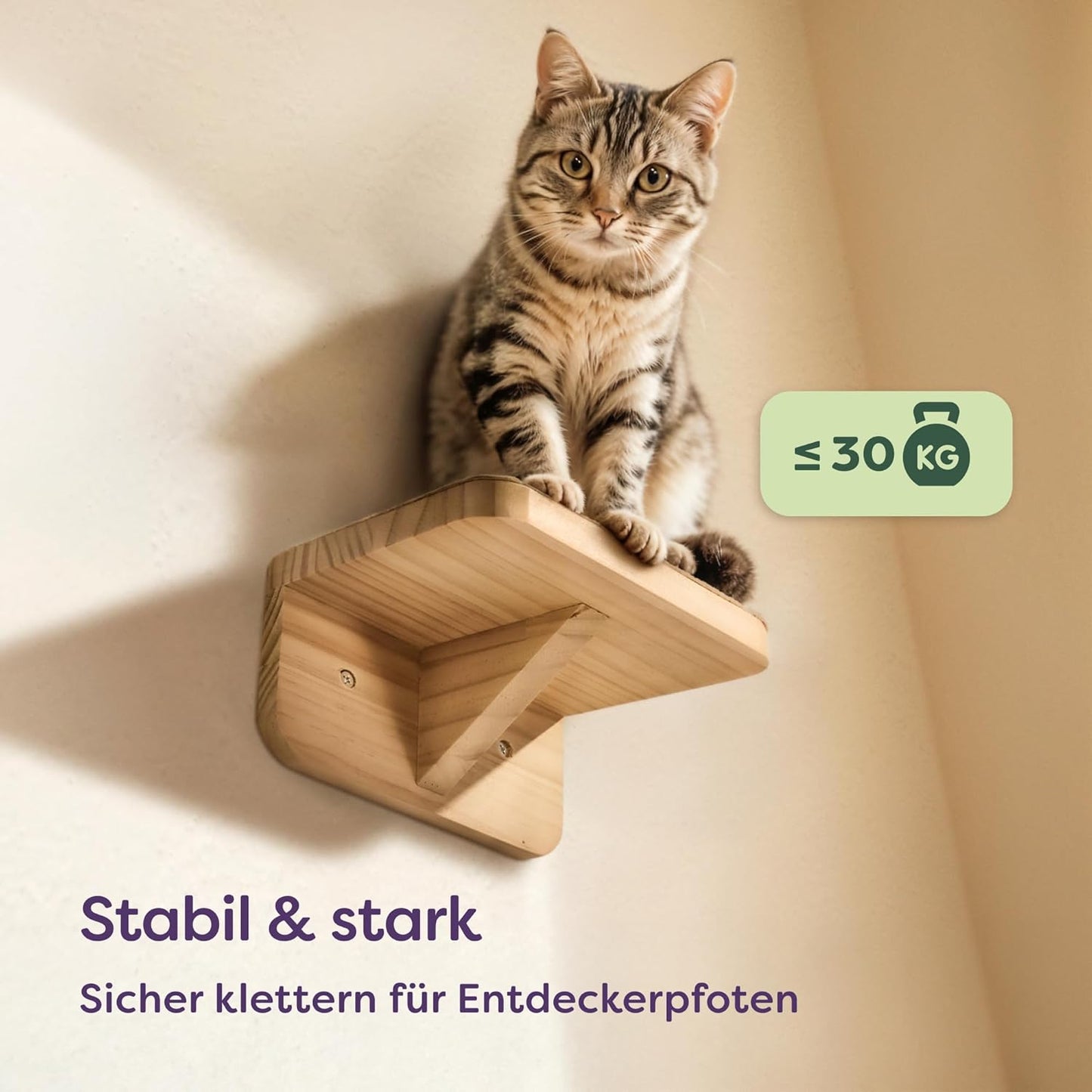 3-teiliges Katzen-Kletterwand-Set