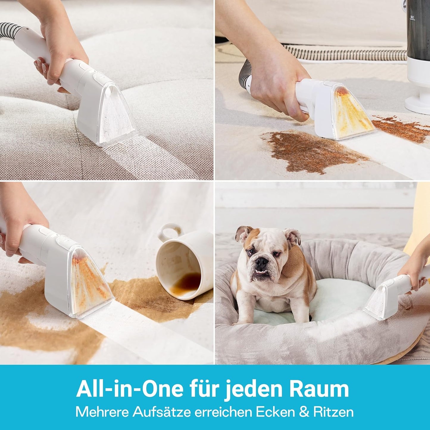 Polster- und Teppichreiniger, Medium