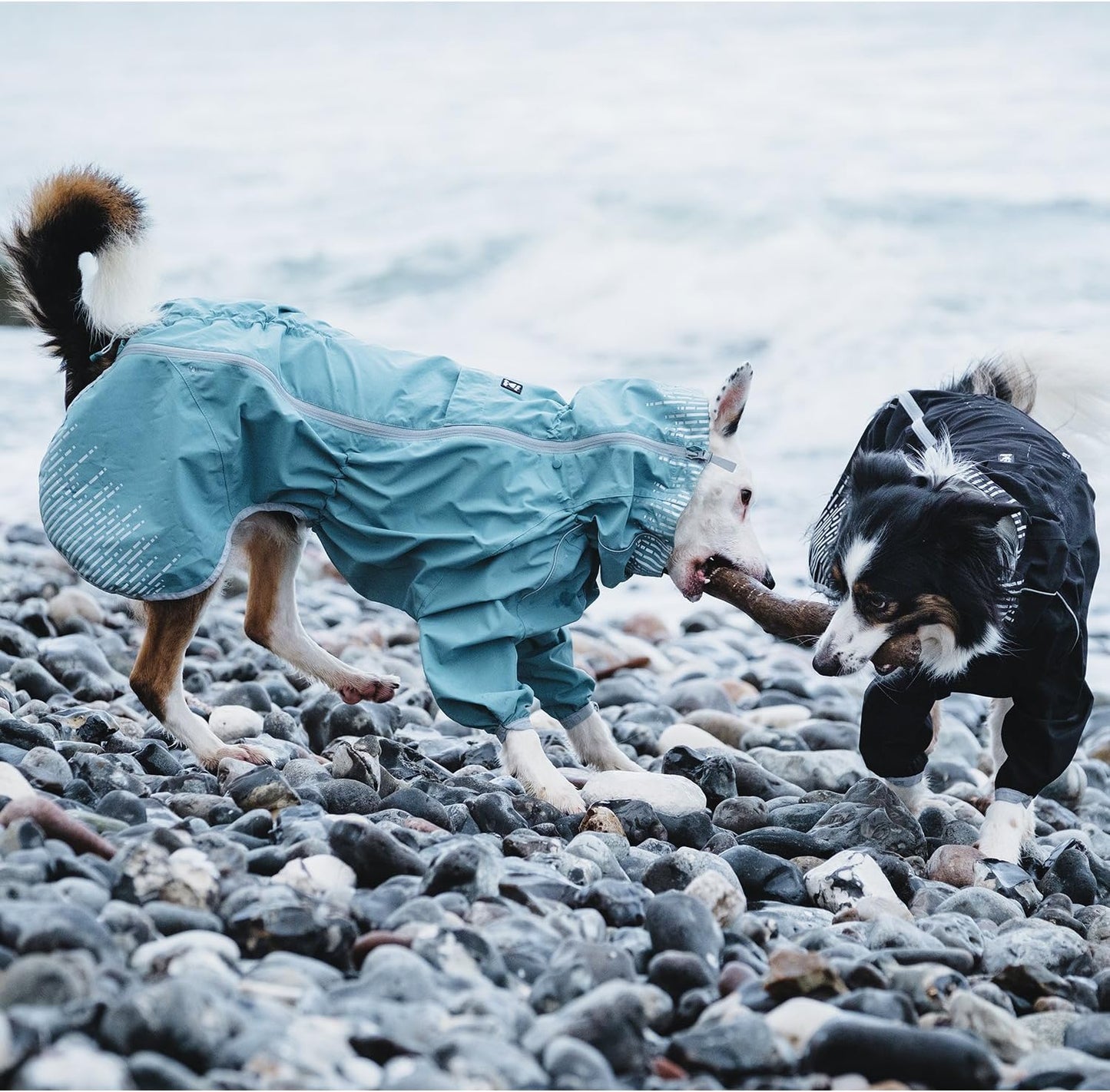 Hundemantel Rainblocker, 60