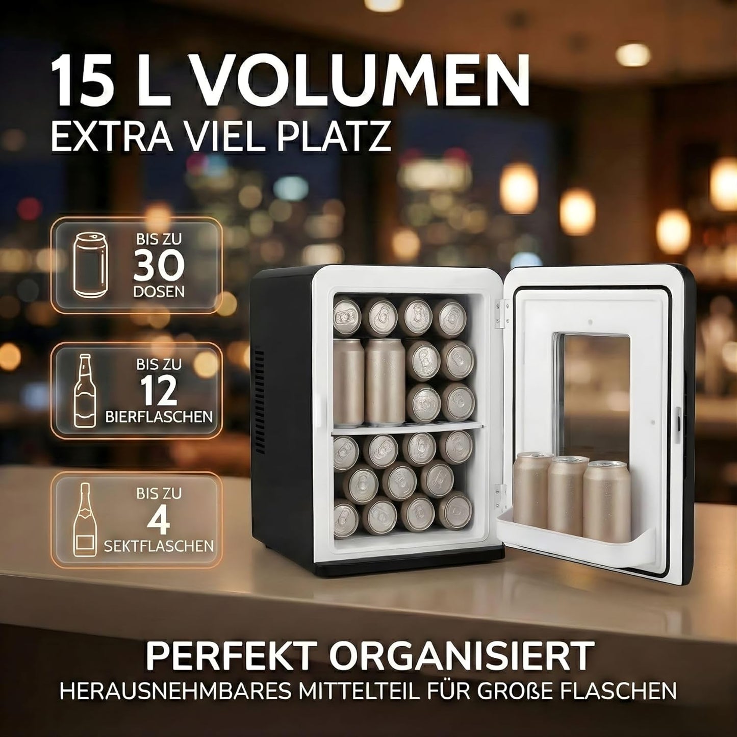 Mini Kühlschrank KS15 15L für Auto und Zimmer