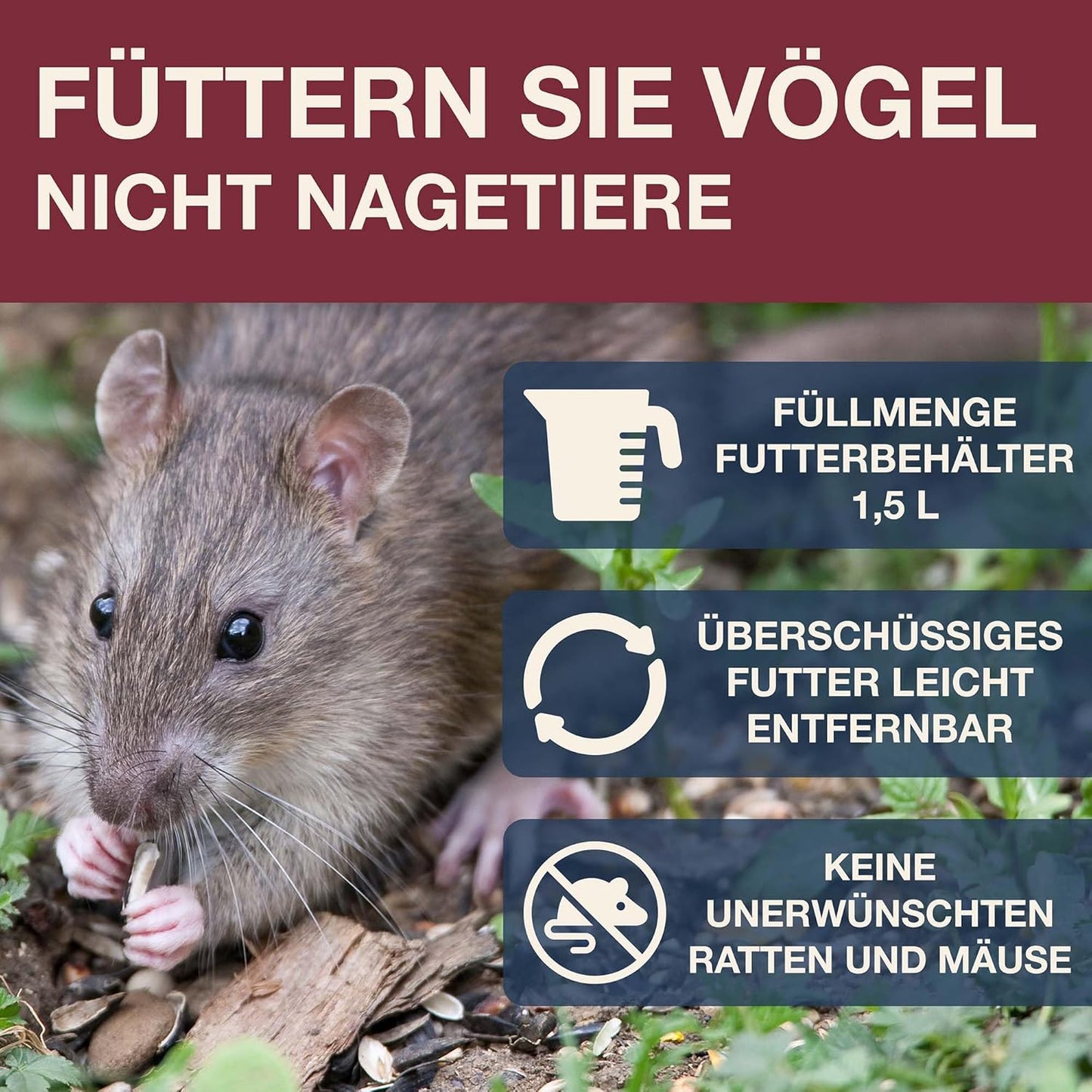Vogelfutterhaus Davos, Burgund Davos