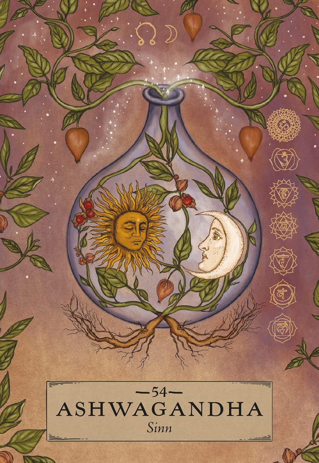 Orakelkarten-Set Herbal Astrology, Gebundenes Buch