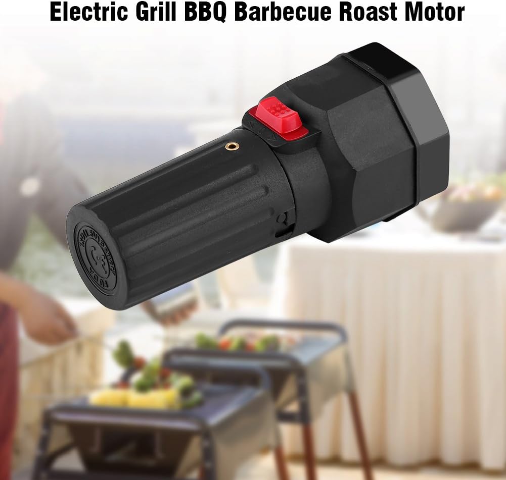 Elektrischer Rotisserie-Motor