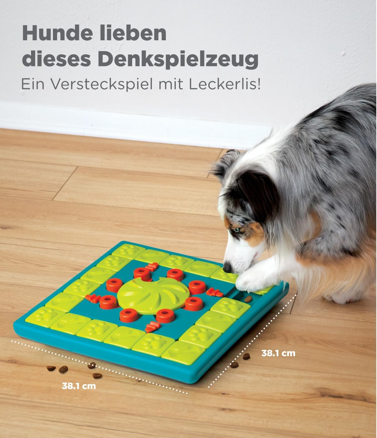 Multipuzzle, Multipuzzle