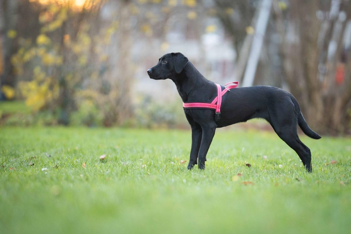 Reflektierendes Hundegeschirr Soft & Safe, 35 - 45 cm cayenne/schwarz