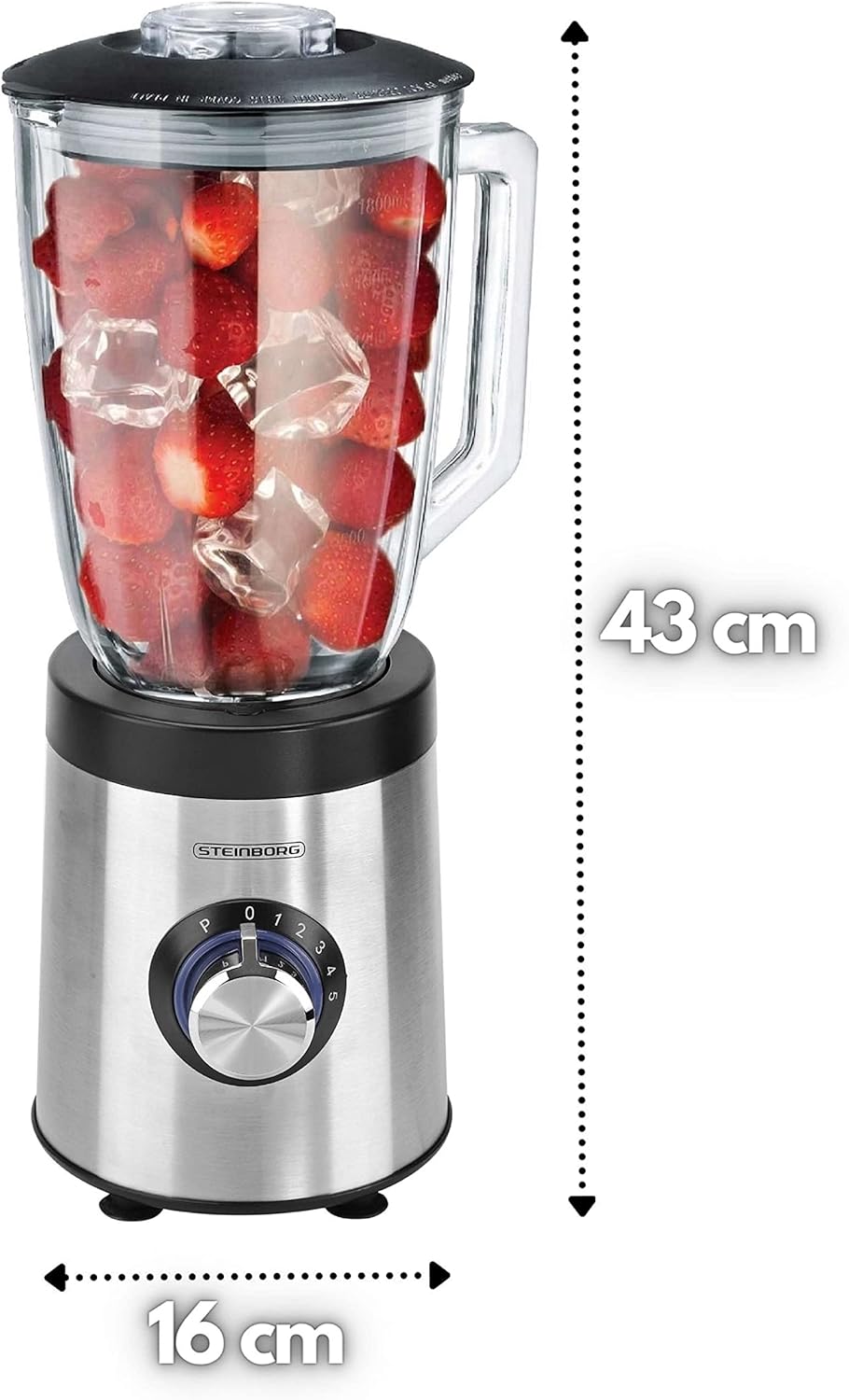 Standmixer 800W mit Glasbehälter & Pulsfunktion