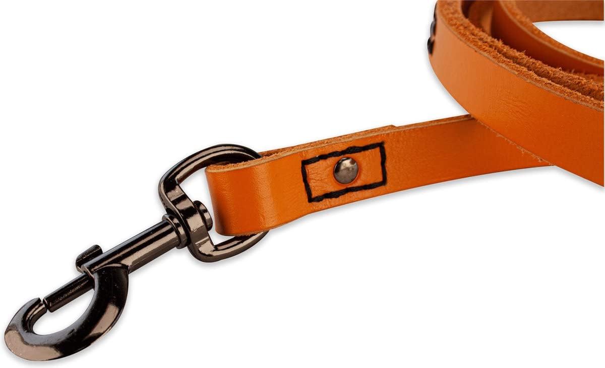 Hundeleine, Orange/Schwarz / 140cm