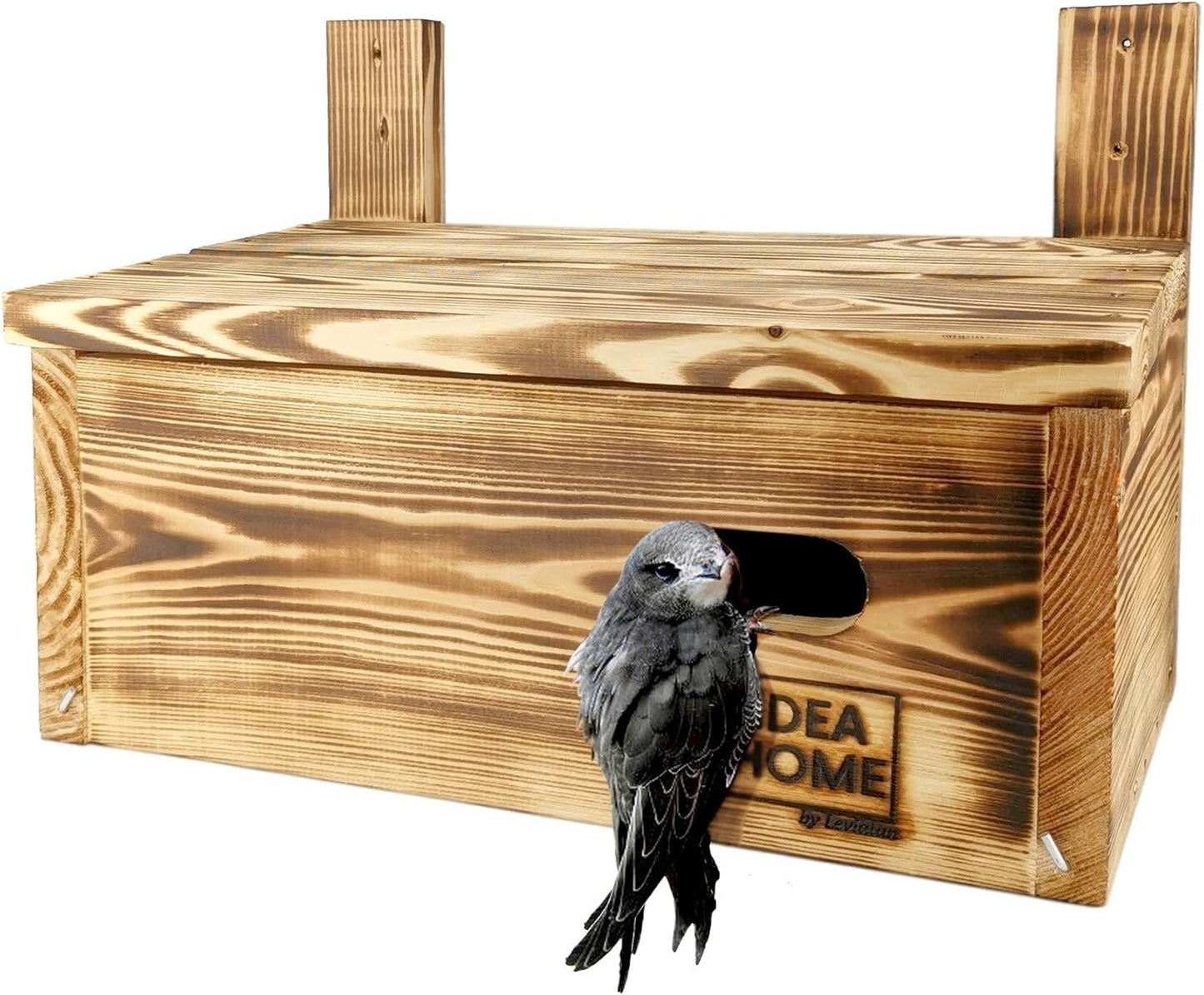 Nistkasten für Vögel, Mauersegler