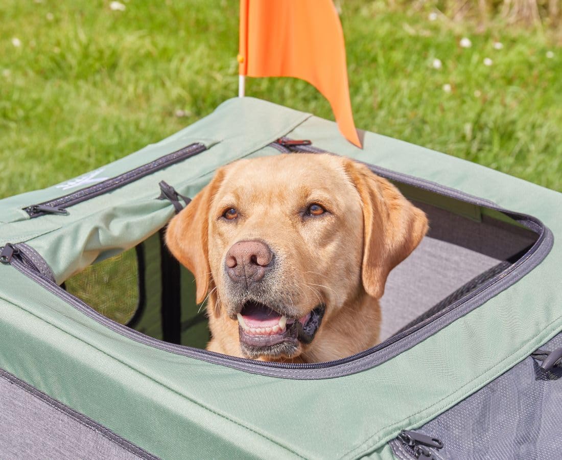 Veloanhänger & Buggy für Hunde