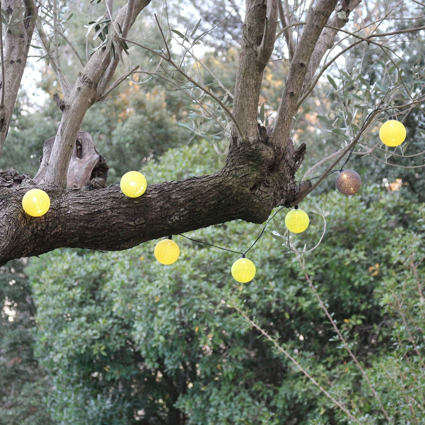 Aussengirlande mit Lichtkugeln, Farn ; 16 Kugeln