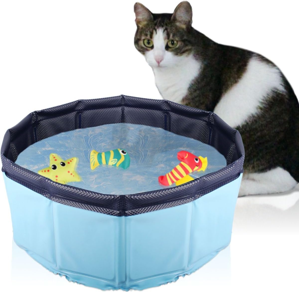 Faltbarer Katzen-Pool