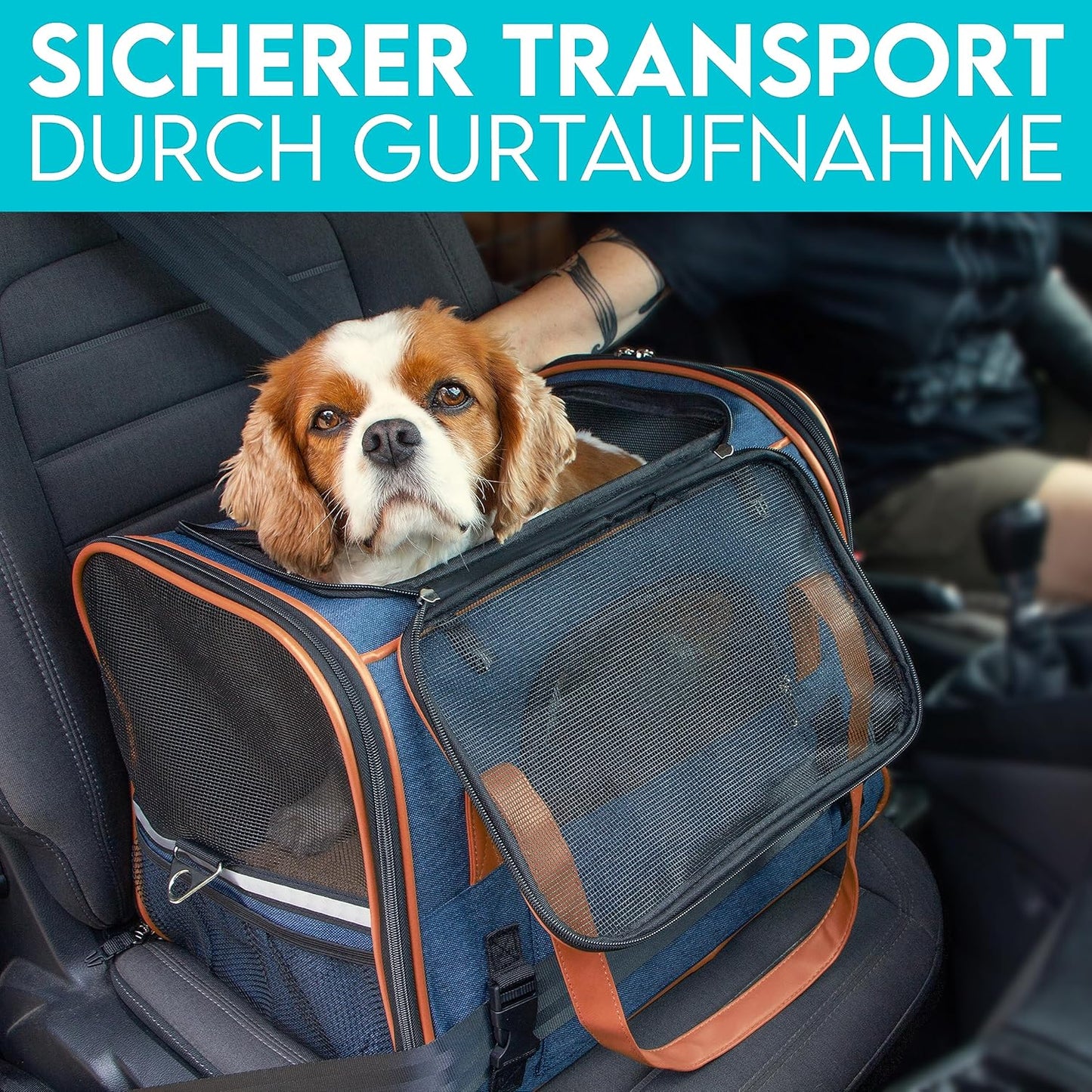 Hundetasche, L 44 x B 32 x H 34 cm Dunkelblau