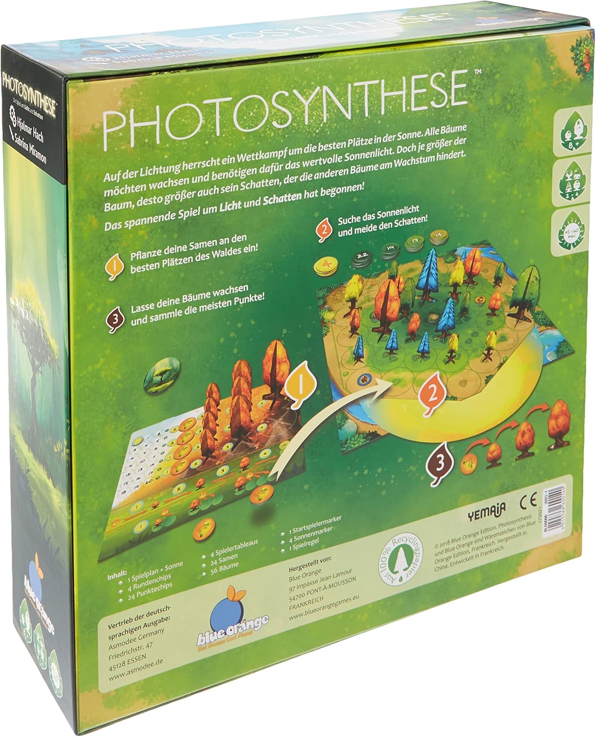 Photosynthese, Photosynthese, Grundspiel